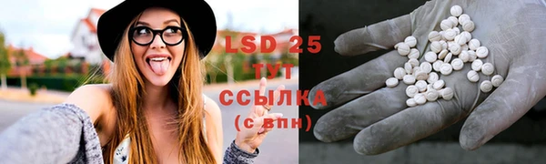 ГАЛЛЮЦИНОГЕННЫЕ ГРИБЫ Кукмор