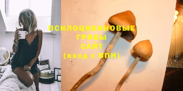 винт Куйбышев