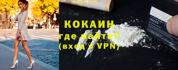 ГАЛЛЮЦИНОГЕННЫЕ ГРИБЫ Кукмор